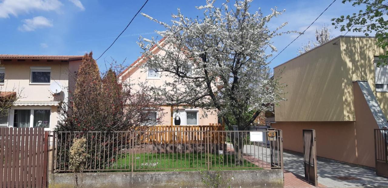 Rozsa Apartment Hajdúszoboszló 外观 照片